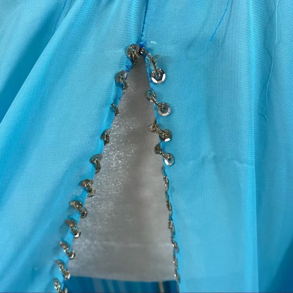 One of a Kind Sheer Belly Dancing‎ Skirt One Size